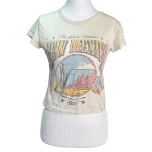 Hollister Womens XS New Mexico Baby Tee Retro Boho Western Desertcore Graphic